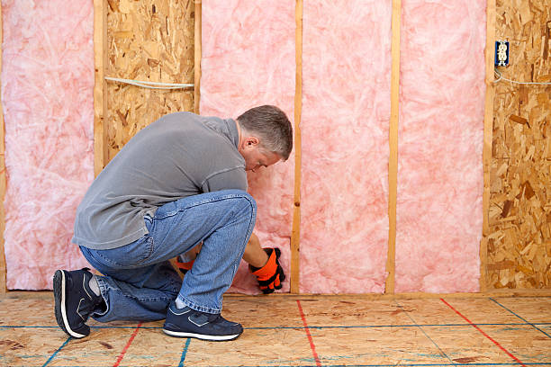 Best Energy Efficiency Solutions in Calverton, MD